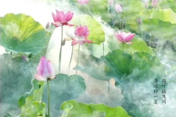 38th National Lotus Exhibition opens in Wuxi