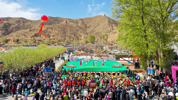 Yanggao hosts apricot blossom festival