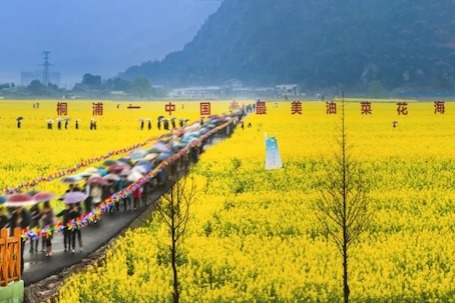 Destinations in Wenzhou for admiring rapeseed flowers