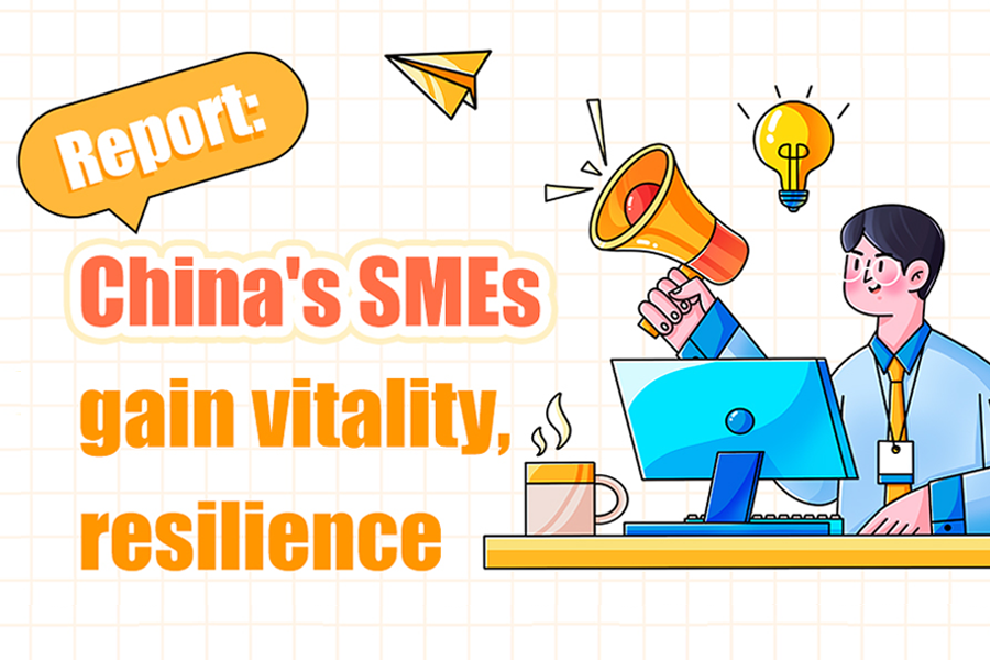 China's SMEs gain vitality, resilience