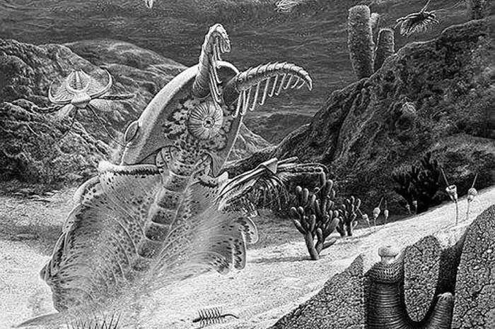 Chinese researchers unveil key factors of Cambrian Explosion of life