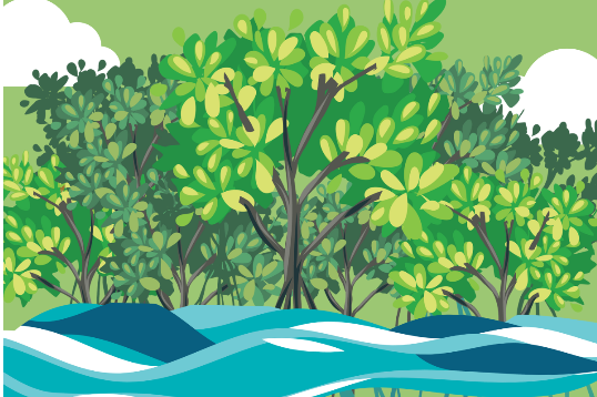 Mangroves: Guardians of coastal ecosystems
