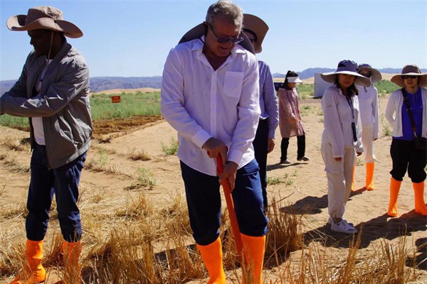 Experts learn ancient desert control wisdom in Ningxia