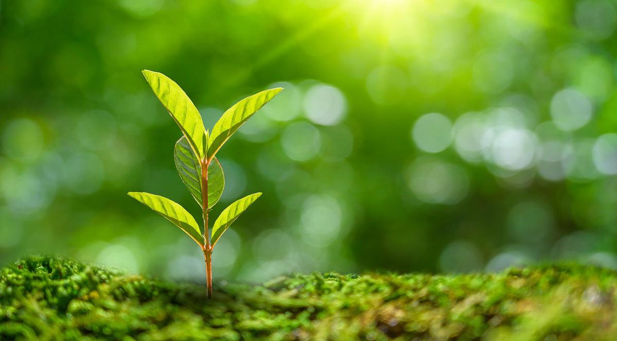 Circular Economy Industry