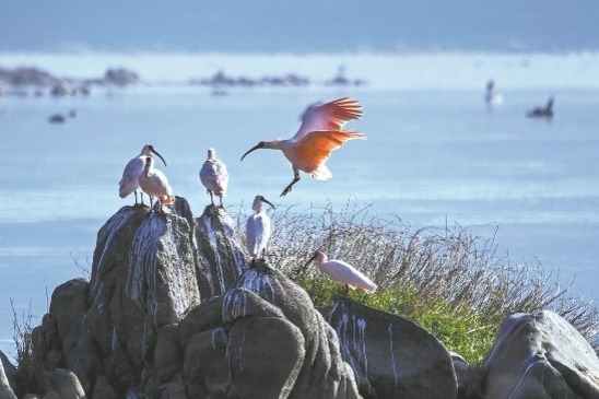 China establishes key pillars of national park system