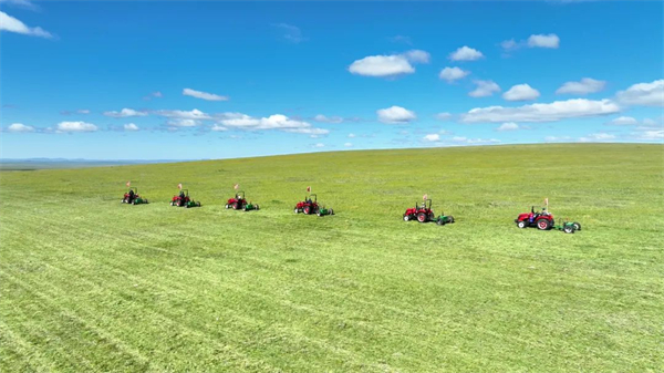 Busy herdsmen harvest grass in Chen Barga Banner