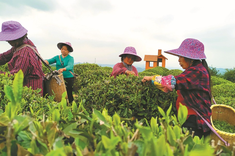 County in Jiangxi turns idle rural assets into profitable pastures