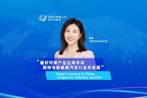 Tesla's success in China hinges on industry success