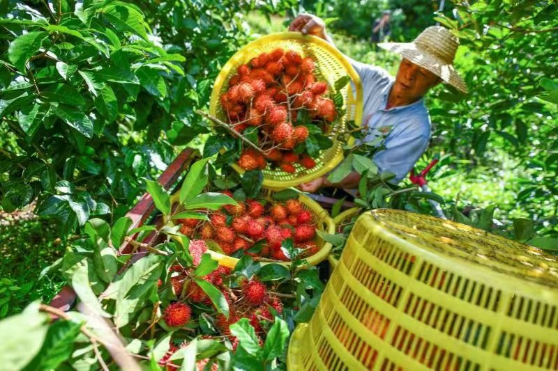 Tropical harvest festival celebrated in Hainan