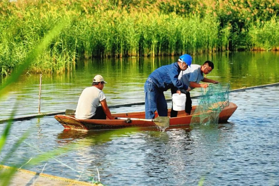 Infrastructure boosts aquaculture growth at Xinjiang's Aheqi Farm