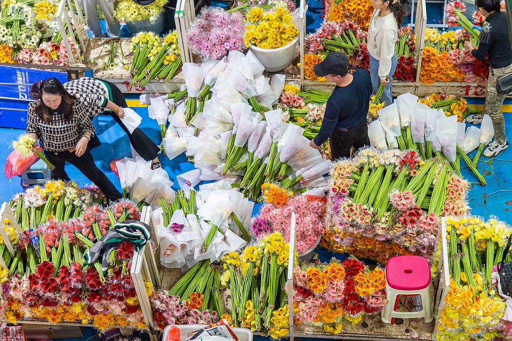 Flower business thrives in China's Dounan