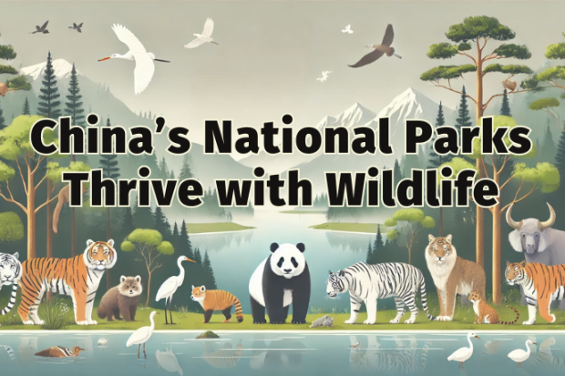 China's national parks thrive with wildlife