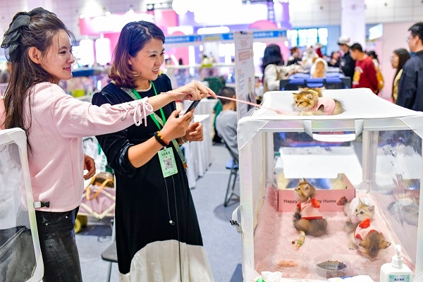 Jinan hosts the 2024 pet industry expo