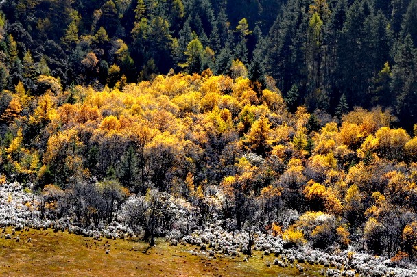 Explore the autumnal beauty of Pudacuo National Park