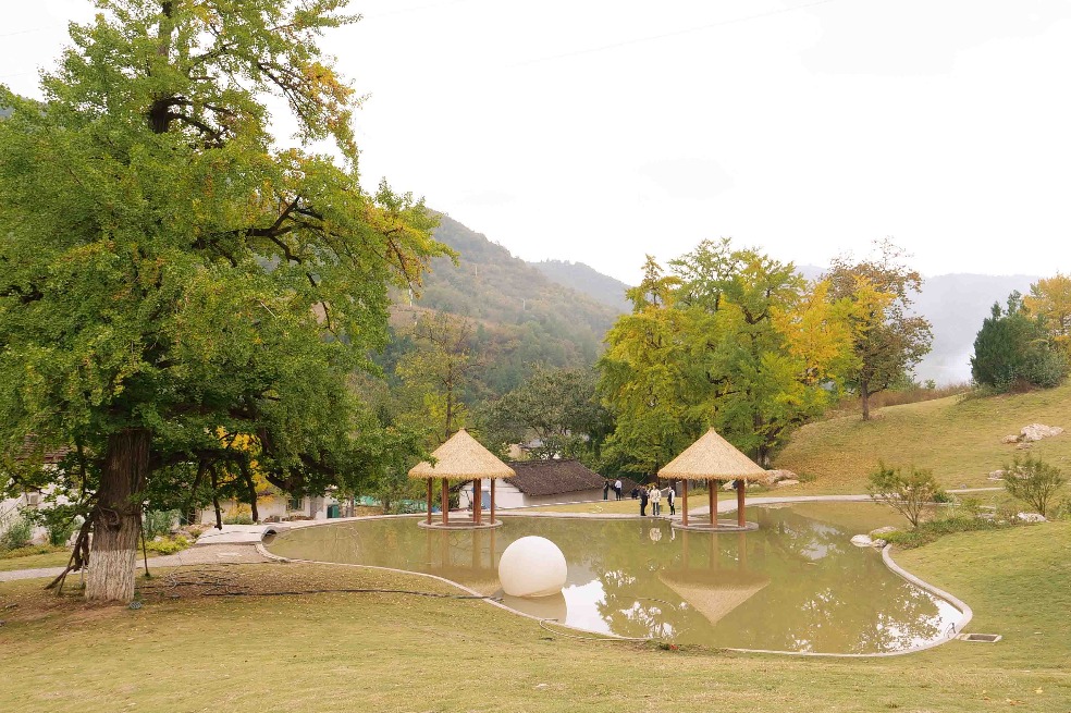 Ancient ginkgo trees draw tourists to Gansu