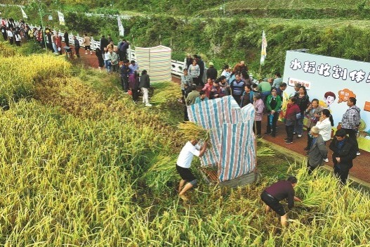 Rural tourism increasingly popular in Chongqing