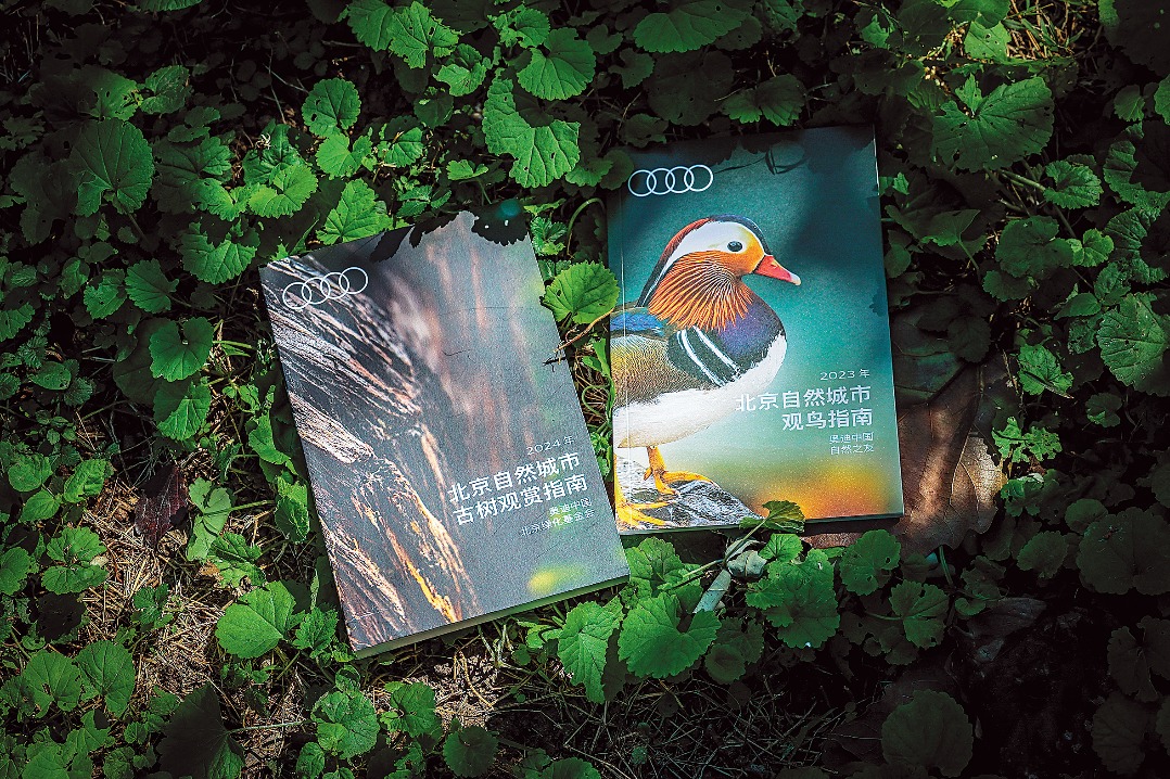 Audi China advances biodiversity campaign with new guidebook