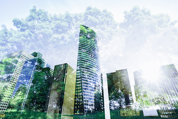 Yantai Huang-Bohai New area pushes green, low-carbon transformation through financial support