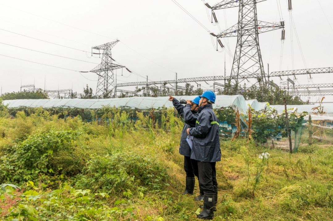 Clearing transmission lines to safeguard grid security