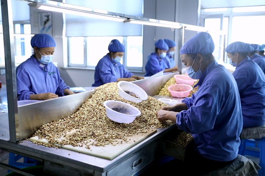 Consumers worldwide go 'nuts' for Jilin product