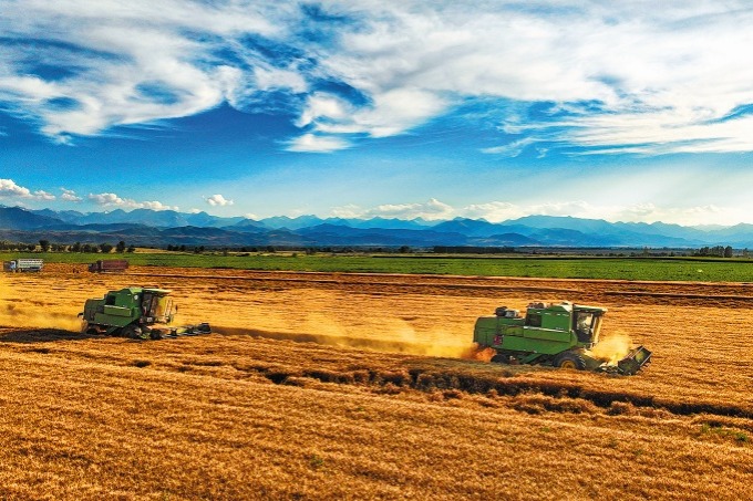 Desert corps lays foundation for progress in Xinjiang