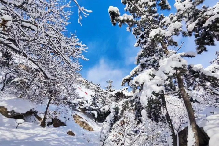 Zhaoyuan in Shandong embraces its first snowfall