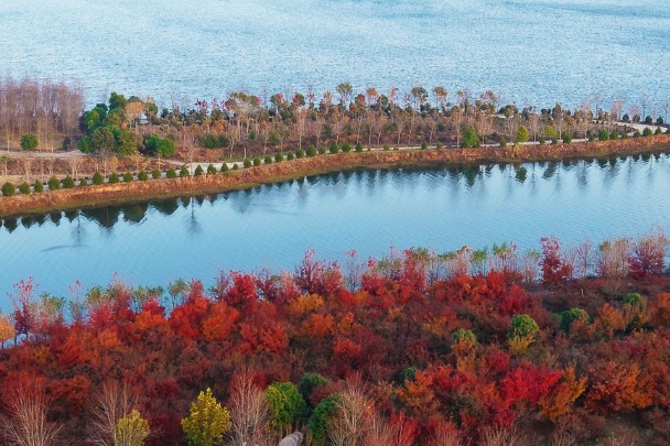 Henan reservoir is a picture of harmony