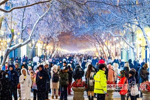 Snowfall transforms Harbin into winter wonderland