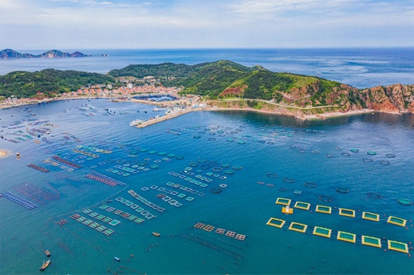 Yantai's Changdao leads zero-carbon island development