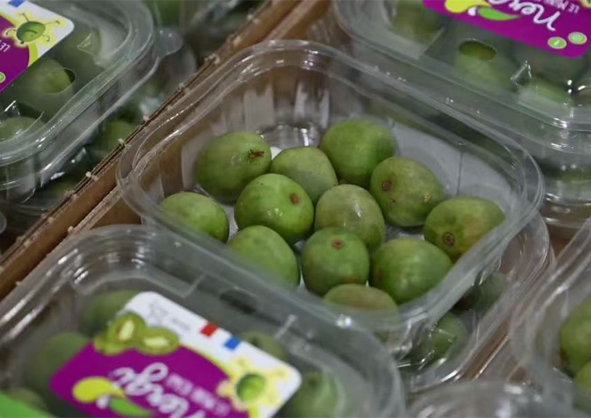 French kiwi berries to debut at upcoming 7th CIIE