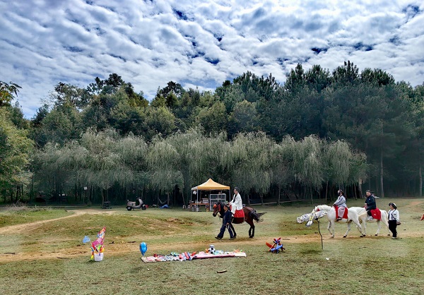 Guiyang's Duxi Forest Farm offers enchanting adventures