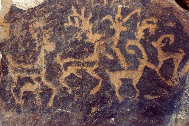 Ningxia petroglyphs tell stories of ancient dwellers