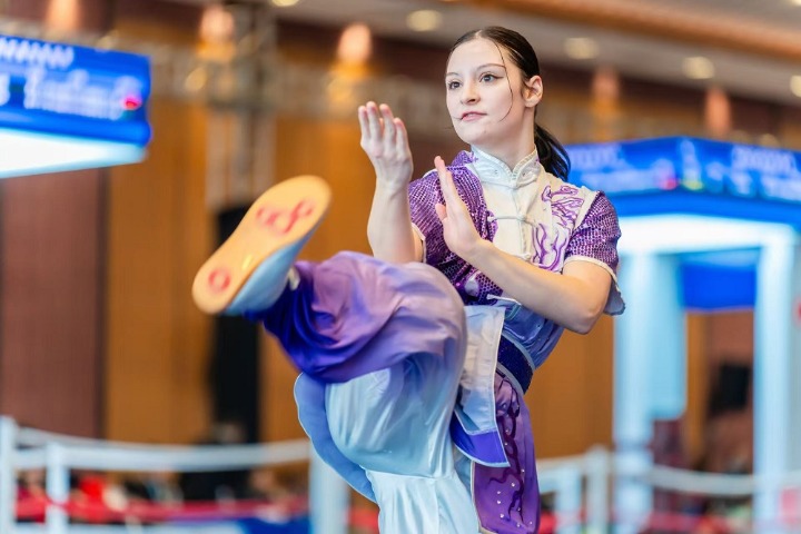 Championship unites martial arts enthusiasts in Guangdong