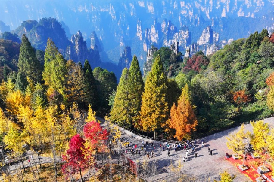 Zhangjiajie's Tianzi Mountain attracts visitors with its autumnal splendor