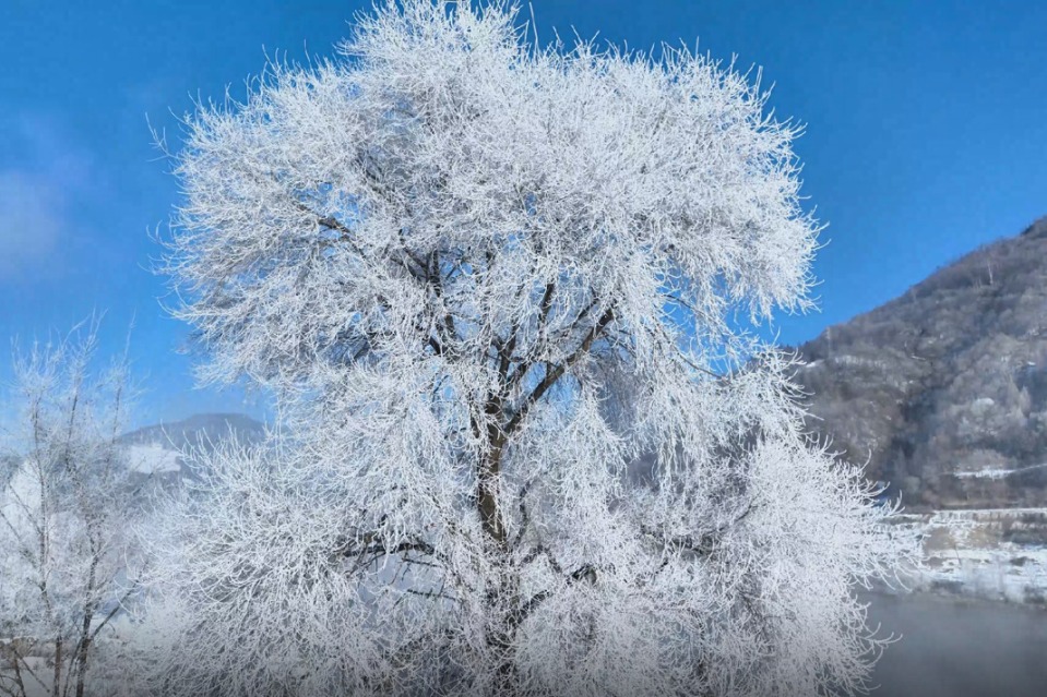 Jilin's Hongshilazi town shimmers in rime beauty