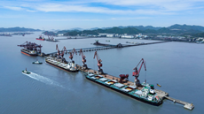 RCEP boosts export competitiveness for Zhoushan enterprises