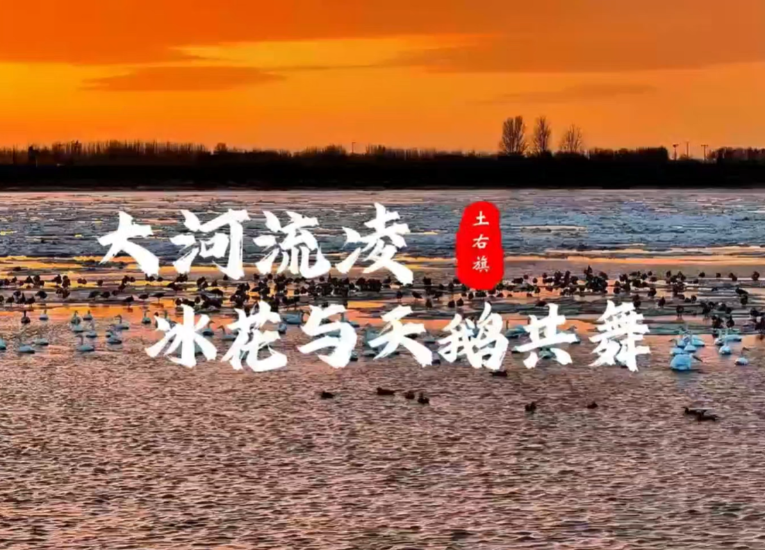 Video: Ice floats & swans in Baotou