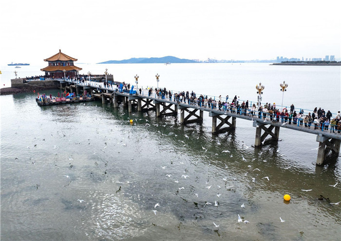 ​Expanded visa-free policy brings more tourists to Qingdao