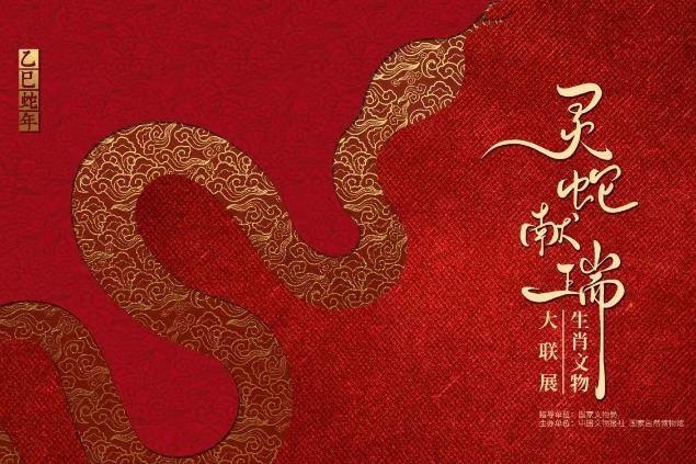 Beijing exhibition showcases snake specimens and snake-related artifacts