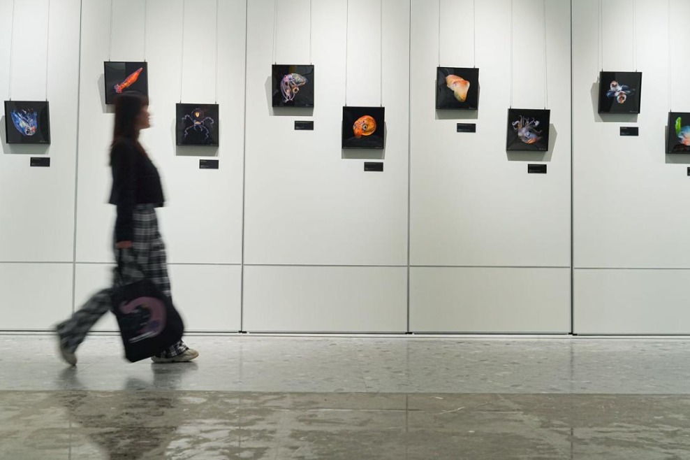 Dive into the abyss: Zhang Fan's blackwater wonders unveiled