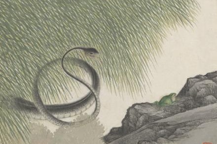 Qing Dynasty painting captures snake among lush greenery