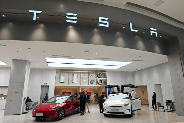Tesla suing EU over tariffs on China-made EVs