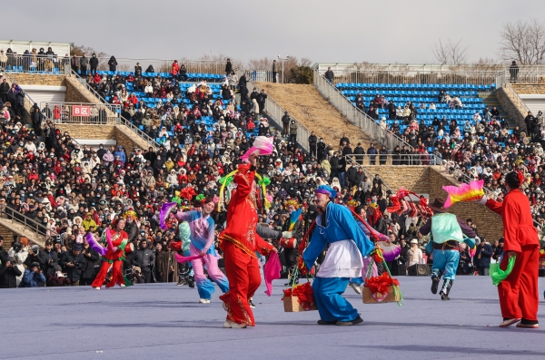 Magnificent yangko performances bring joy to Spring Festival