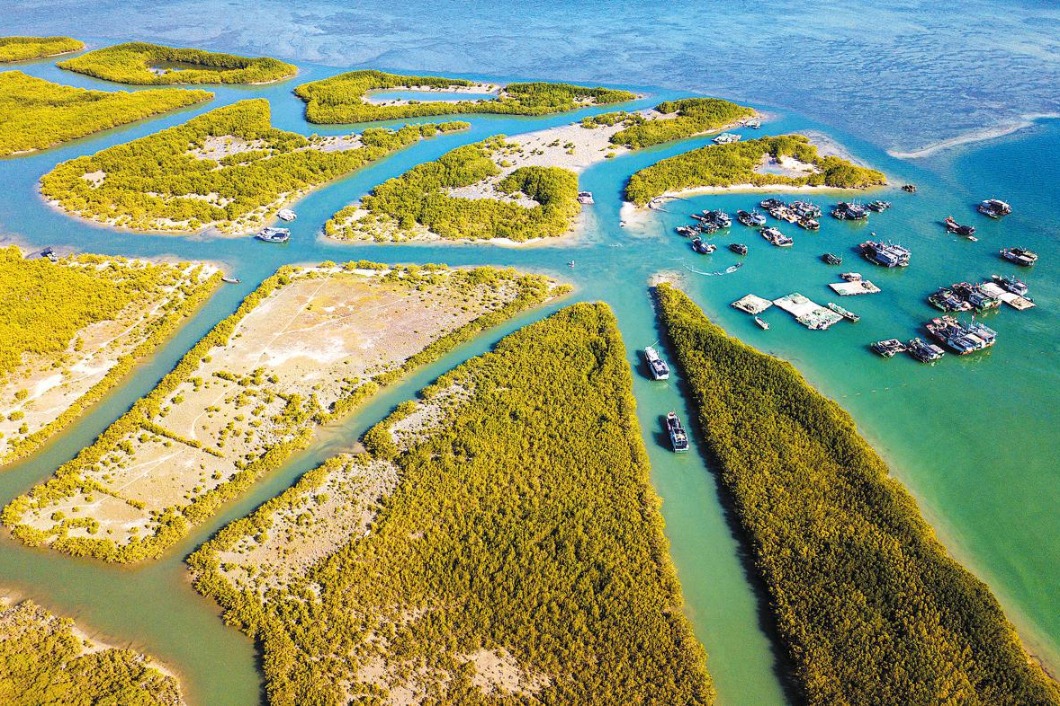 China takes lead in wetland restoration