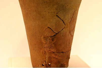 Neolithic pottery jar with snake-biting-toad motifs