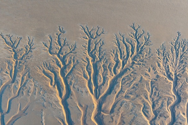 Stunning ‘frozen tidal trees’ on the Qiantang River in Zhejiang