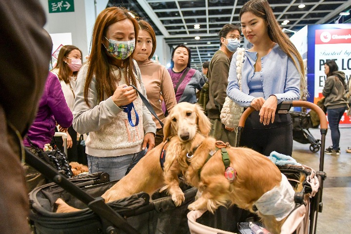 Hong Kong Pet Show 2025