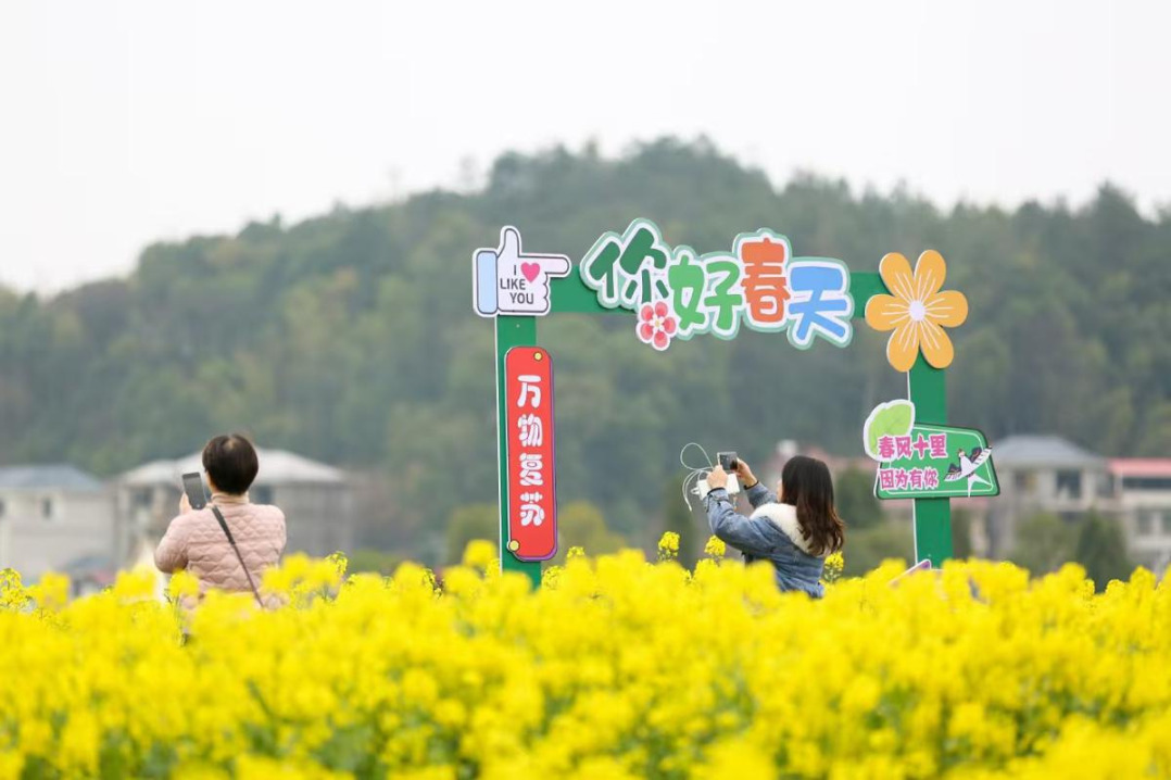 Rural splendor: rapeseed flowers draw thousands in Hunan