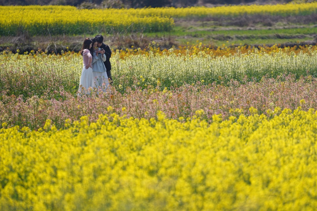 Tourism takes flight over blossoming countryside