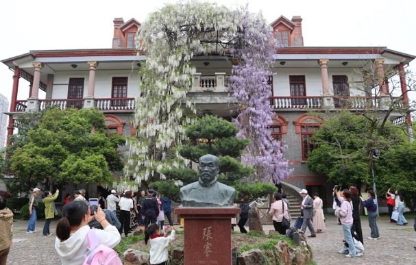 Nantong Museum goes viral for Chinese wistaria